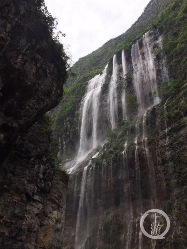怎么学做好吃的面包，培训在哪？
